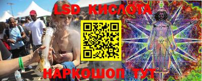 spice Гай